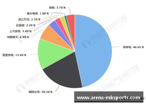 MK体育球员整容位置分析与应用技术发展趋势