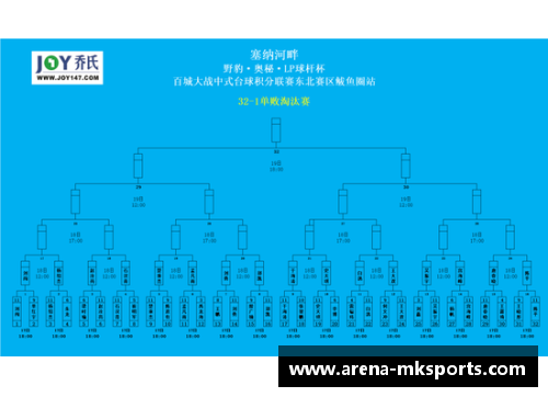 MK体育莱切斯特城主场取胜，保持领跑优势 - 副本